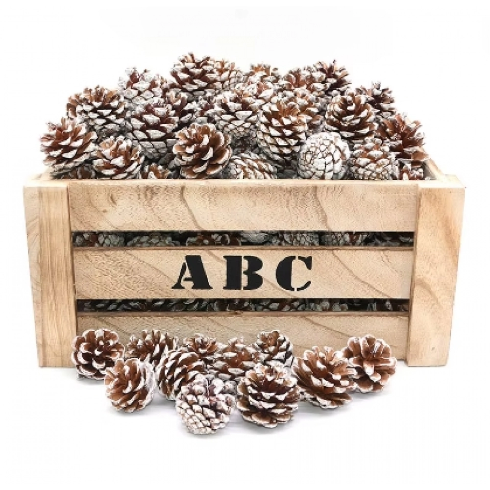 10pcs Artificial Flowers Pineapple Grass Artificial Pine Nuts Cones for Wedding Christmas Tree Wreath DIY Scrapbooking Decor 10pcs Artificial Flowers Pineapple Grass Artificial Pine Nuts Cones for Wedding Christmas Tree Wreath DIY Scrapbooking Decor