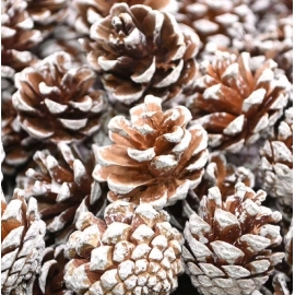 10pcs Artificial Flowers Pineapple Grass Artificial Pine Nuts Cones for Wedding Christmas Tree Wreath DIY Scrapbooking Decor