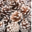10pcs Artificial Flowers Pineapple Grass Artificial Pine Nuts Cones for Wedding Christmas Tree Wreath DIY Scrapbooking Decor