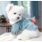 1PC Pet Suit Dog Cat Plush Thickened Warm Denim Letter Lapel Handsome Cotton Coat Suitable for Small and Medium sized Dogs